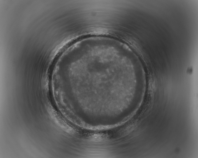 X0000114720584200912021156