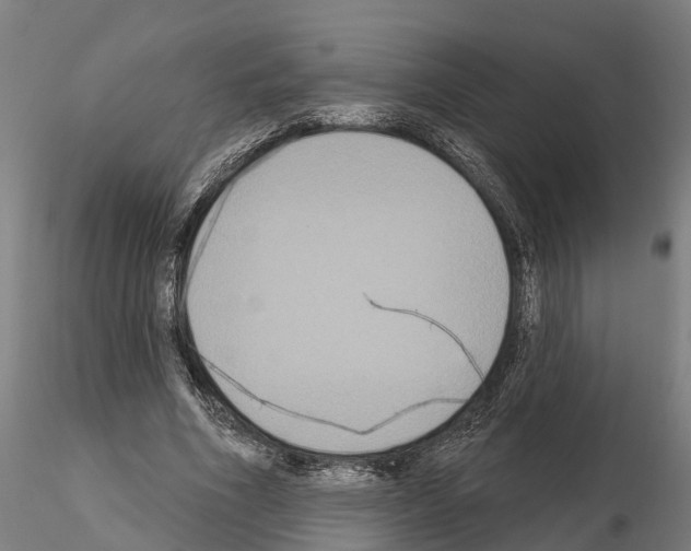 X0000114720586200912021156