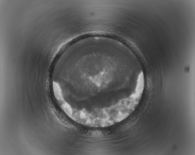 X0000114720588200912021156