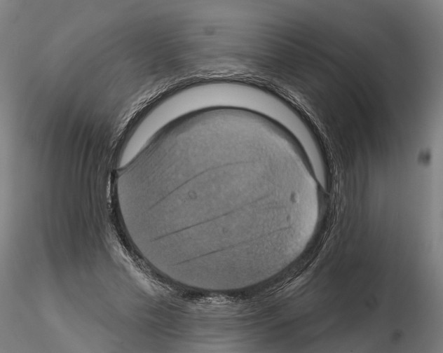 X0000114720589200912021156