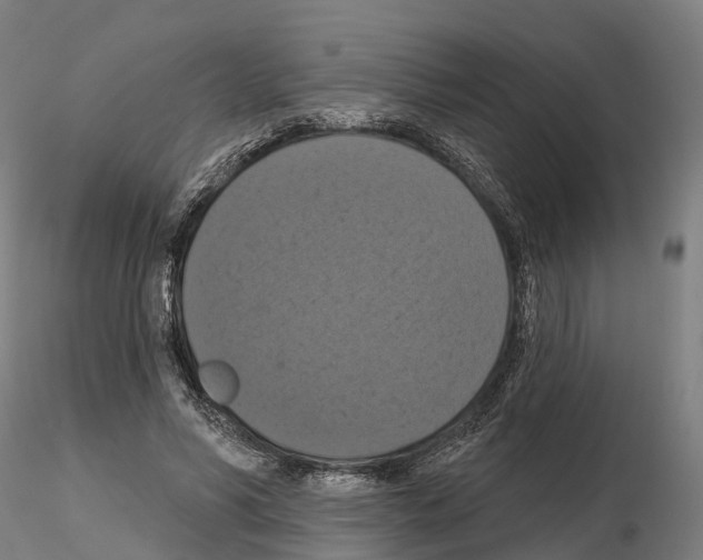 X0000114720590200912021156