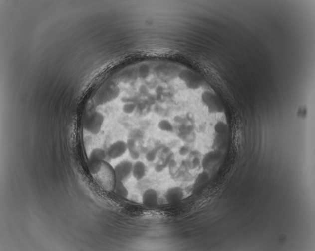 X0000114720591200912021156