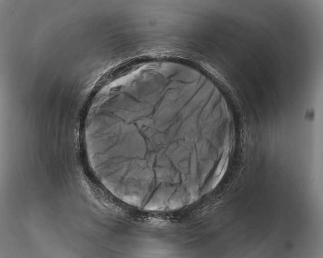 X0000114720592200912021156