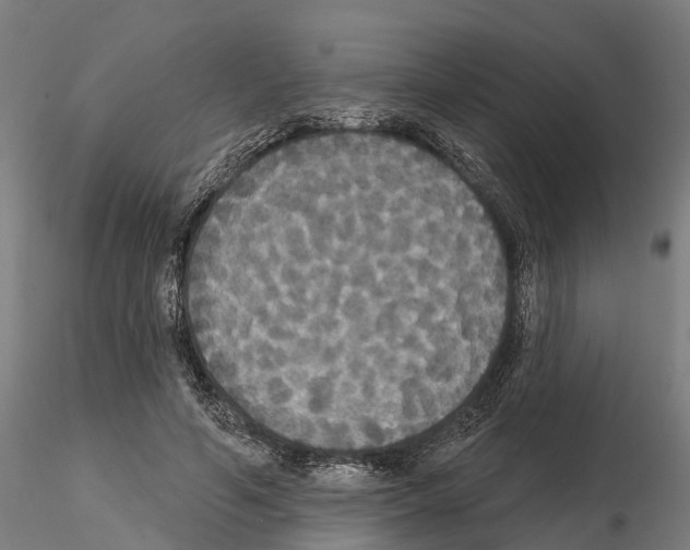 X0000114720594200912021156