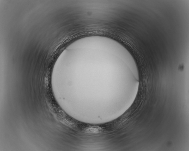 X0000114720595200912021156