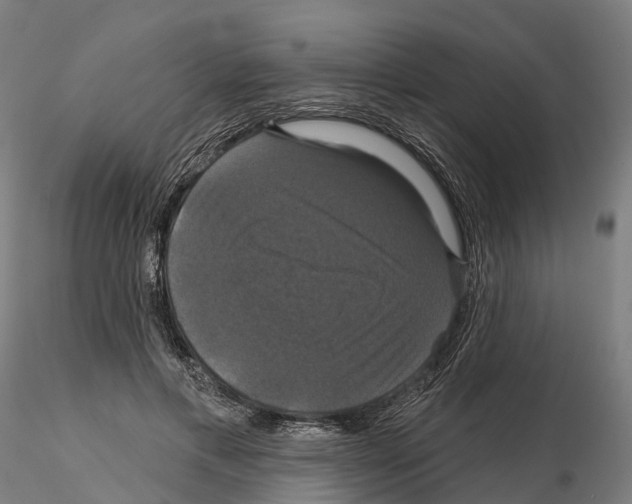 X0000114720597200912021156