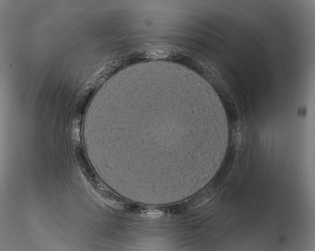 X0000114720598200912021156