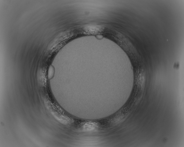 X0000114720599200912021156