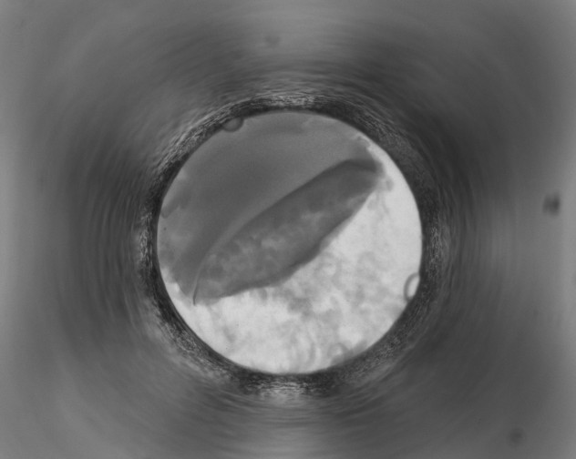 X0000114720600200912021156