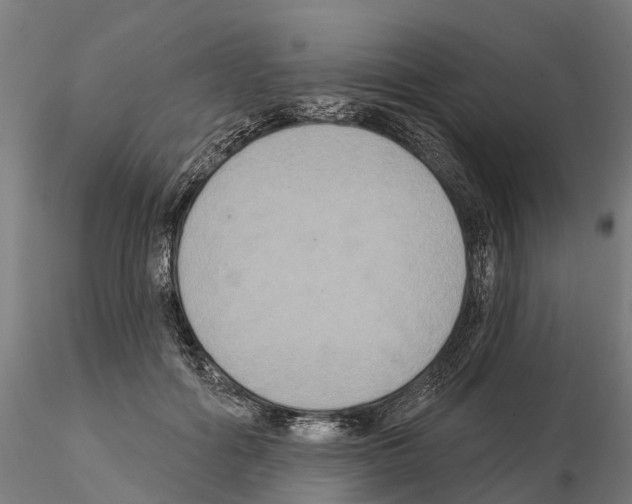 X0000114720602200912021156