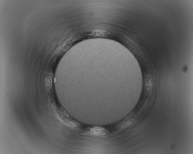 X0000114720603200912021156