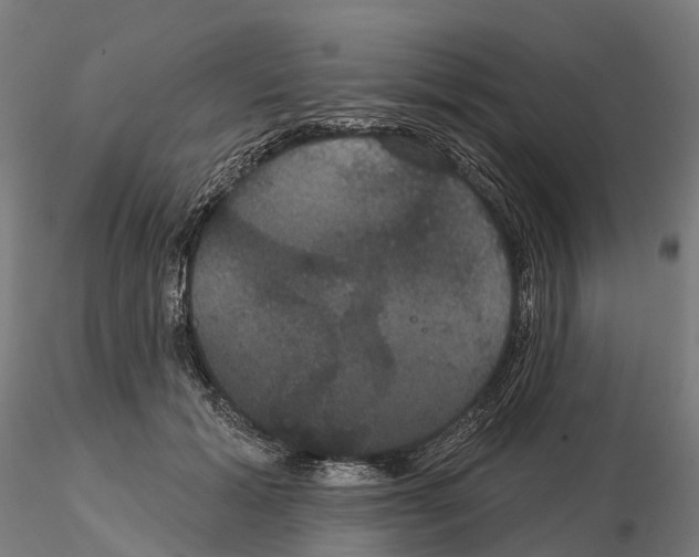 X0000114720605200912021156