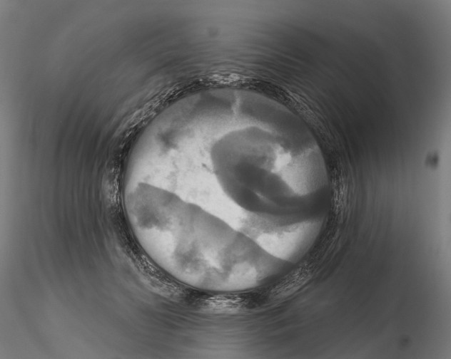 X0000114720606200912021156