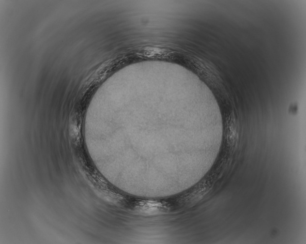 X0000114720607200912021156