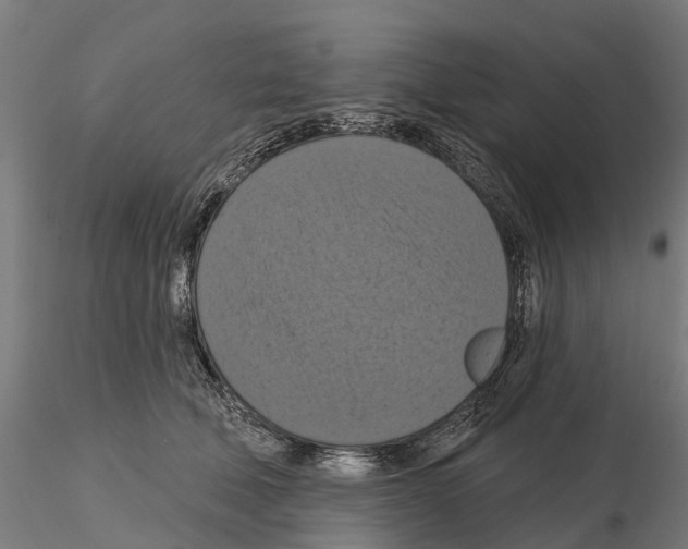 X0000114720610200912021156