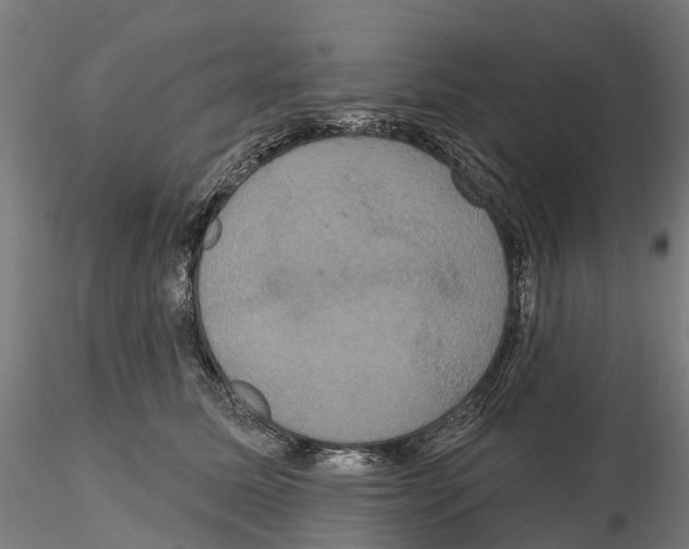 X0000114720611200912021156