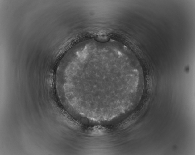 X0000114720612200912021156