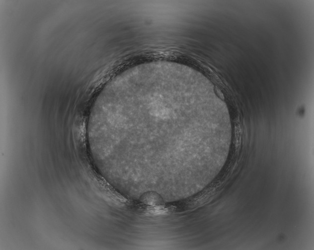 X0000114720613200912021156