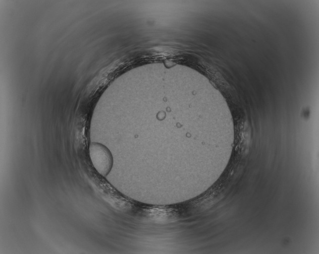 X0000114720615200912021156