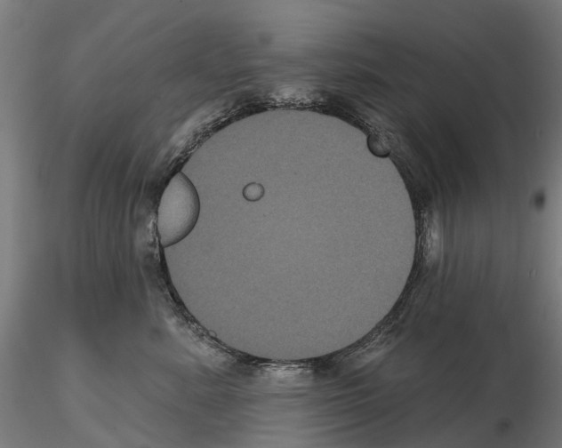 X0000114720619200912021156