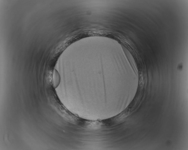 X0000114720621200912021156