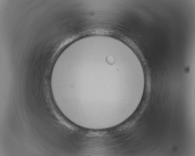 X0000114720625200912021155