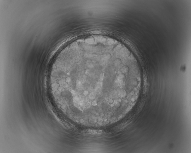 X0000114720626200912021155