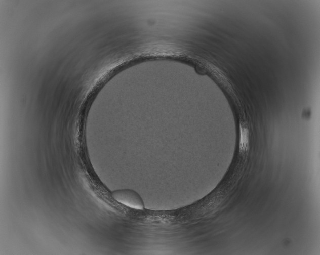 X0000114720627200912021155