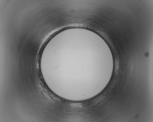 X0000114720628200912021155