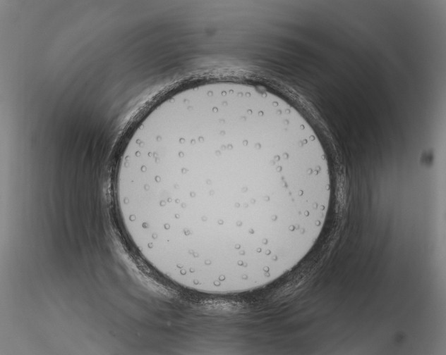 X0000114720629200912021155