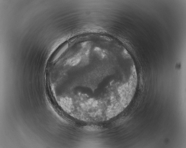 X0000114720630200912021155