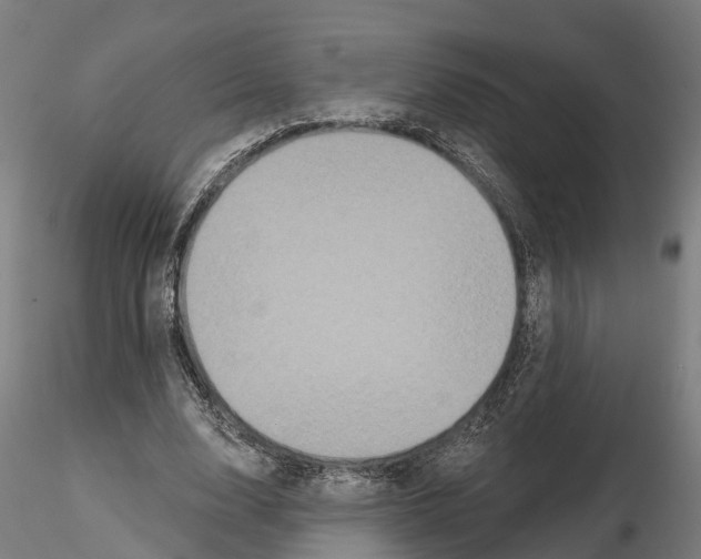 X0000114720632200912021155