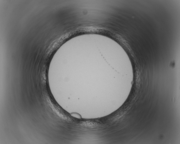 X0000114720633200912021155