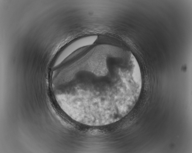 X0000114720634200912021155