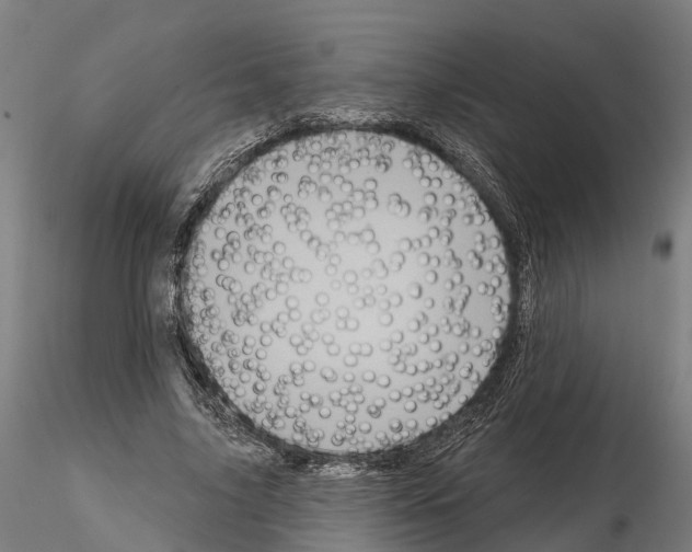 X0000114720635200912021155