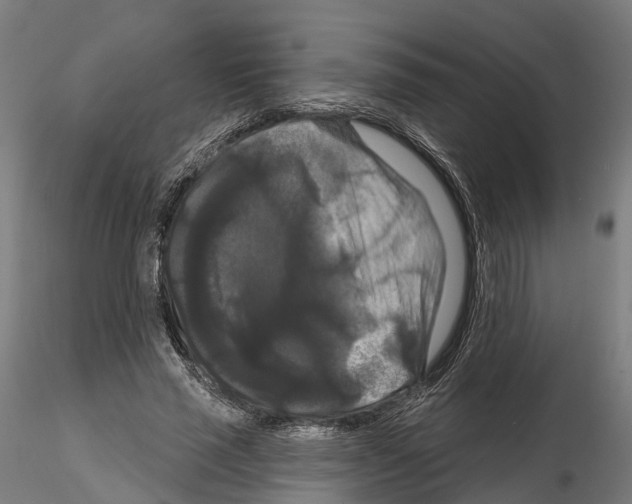 X0000114720637200912021155