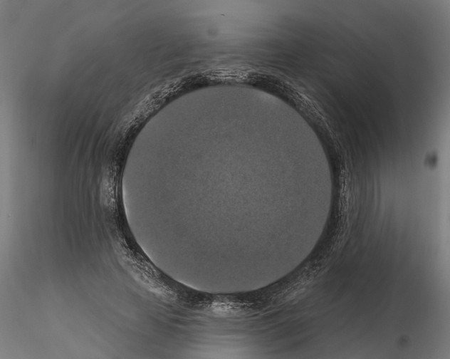 X0000114720641200912021155