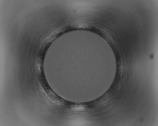 X0000114720643200912021156