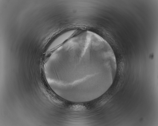 X0000114720644200912021156