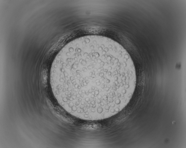 X0000114720646200912021156