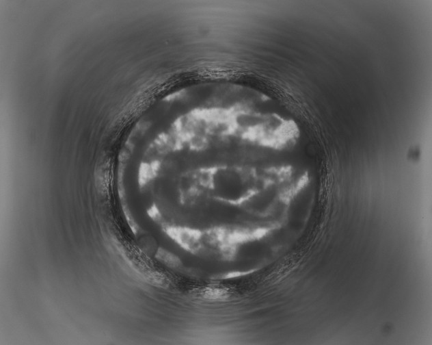 X0000114720647200912021156