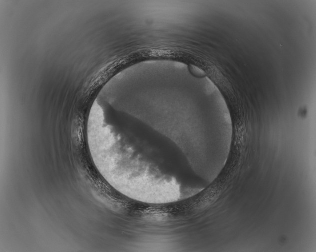 X0000114720648200912021156