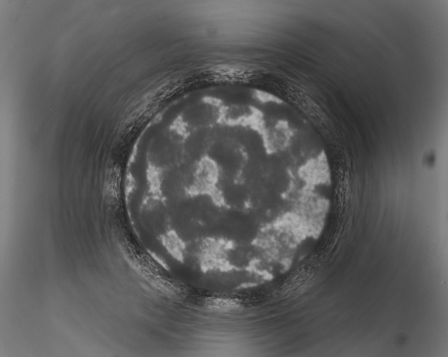 X0000114720649200912021156