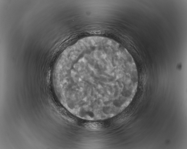 X0000114720652200912021156