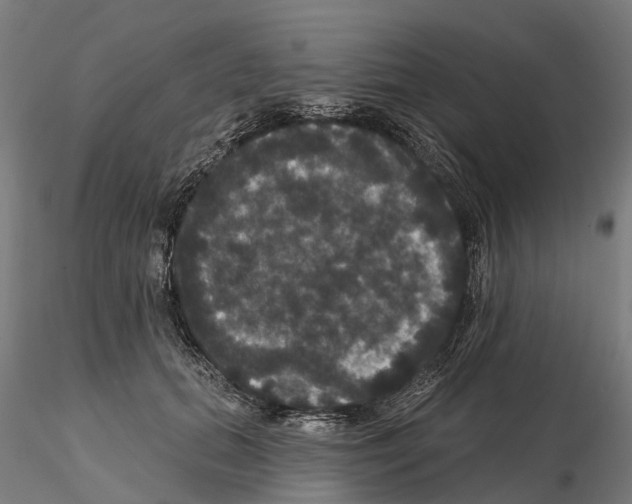 X0000114720655200912021156