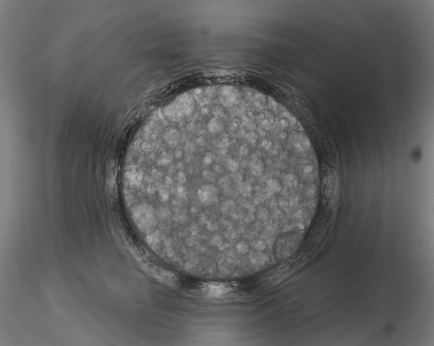 X0000114720662200912021156