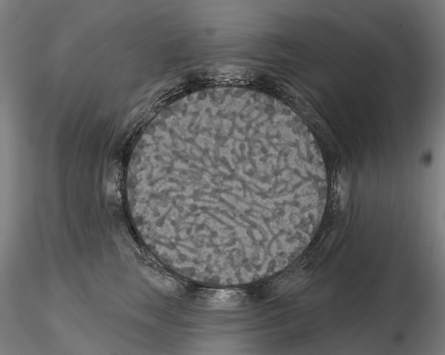 X0000114720663200912021156