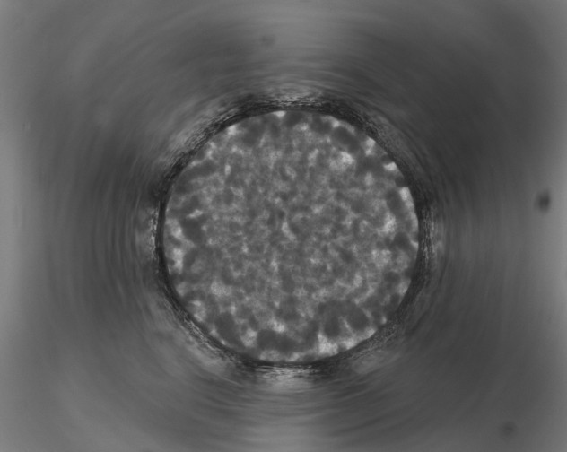 X0000114720664200912021156