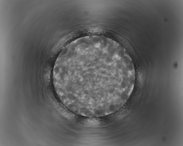 X0000114720668200912021156