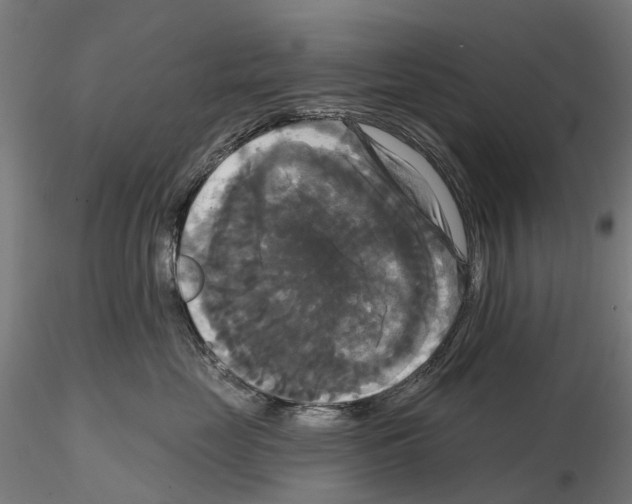 X0000114720669200912021156